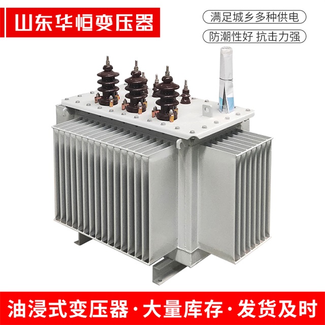 S13-10000/35内丘内丘内丘油浸式变压器厂家